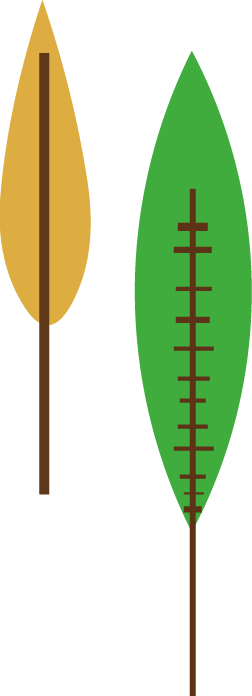 木のイラスト